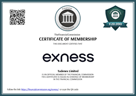 Complete Guide to Exness Login